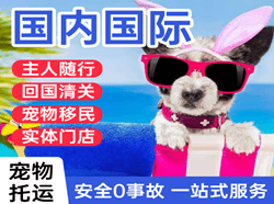 朝阳川机场快运国际宠物托运 【国